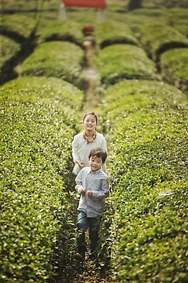 포토 JPG 주간 전신 여자 남자 어린이 가족 남매 야외 두명 앞모습 10대 제주도 걷기 화목 한국인 가족라이프 즐거움 차밭 어린이만 도순다원 국내포토 자연요소 라이프스타일 감정 뷰포인트 컨셉 밭 관계 모션 청소년 한국 사람 동양인 파일형식