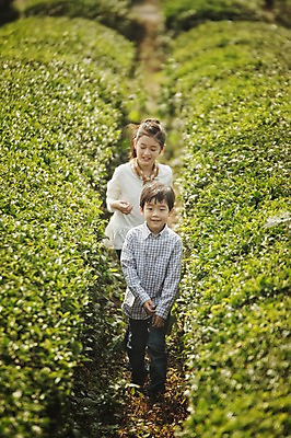 포토 JPG 주간 전신 여자 남자 어린이 가족 남매 야외 두명 앞모습 10대 제주도 걷기 화목 한국인 가족라이프 즐거움 차밭 어린이만 도순다원 국내포토 자연요소 라이프스타일 감정 뷰포인트 컨셉 밭 관계 모션 청소년 한국 사람 동양인 파일형식