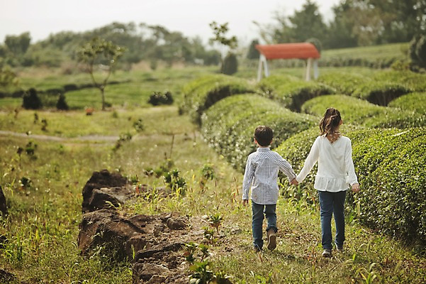 포토 JPG 주간 전신 여자 남자 어린이 가족 남매 야외 두명 뒷모습 10대 제주도 걷기 손잡기 화목 다정 한국인 가족라이프 차밭 어린이만 도순다원 국내포토 자연요소 라이프스타일 뷰포인트 컨셉 밭 관계 모션 청소년 한국 사람 동양인 파일형식