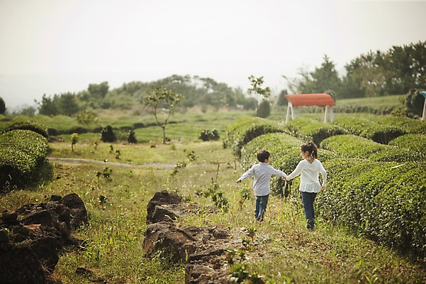 포토 JPG 주간 전신 여자 남자 어린이 가족 남매 야외 두명 뒷모습 10대 제주도 걷기 손잡기 화목 다정 한국인 가족라이프 차밭 어린이만 도순다원 국내포토 자연요소 라이프스타일 뷰포인트 컨셉 밭 관계 모션 청소년 한국 사람 동양인 파일형식