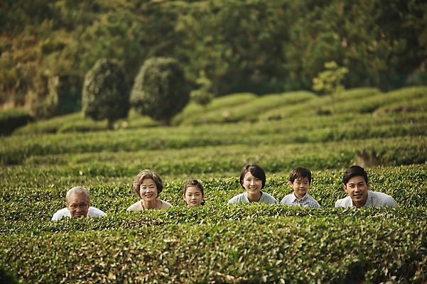 포토 JPG 주간 여자 할아버지 노년 남자 딸 아들 할머니 어린이 가족 엄마 대가족 미소 앉기 여러명 상반신 성인 야외 앞모습 10대 30대 제주도 화목 한국인 가족라이프 아빠 60대 차밭 도순다원 국내포토 자연요소 라이프스타일 뷰포인트 다수 컨셉 밭 관계 모션 청소년 한국 표정 사람 동양인 장년 파일형식