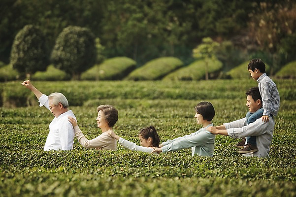 포토 JPG 주간 여자 할아버지 노년 남자 딸 아들 할머니 어린이 가족 엄마 대가족 서기 여러명 상반신 성인 야외 옆모습 10대 30대 제주도 화목 한국인 가족라이프 목말 아빠 60대 즐거움 기차놀이 차밭 도순다원 국내포토 자연요소 라이프스타일 감정 뷰포인트 다수 컨셉 밭 관계 모션 청소년 놀이 한국 사람 동양인 장년 파일형식