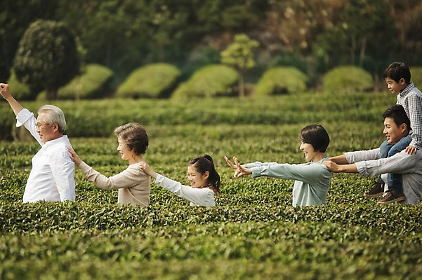 포토 JPG 주간 여자 할아버지 노년 남자 딸 아들 할머니 어린이 가족 엄마 대가족 서기 여러명 상반신 성인 야외 옆모습 10대 30대 제주도 화목 한국인 가족라이프 목말 아빠 60대 즐거움 기차놀이 차밭 도순다원 국내포토 자연요소 라이프스타일 감정 뷰포인트 다수 컨셉 밭 관계 모션 청소년 놀이 한국 사람 동양인 장년 파일형식