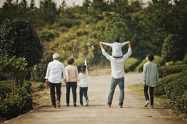 포토 JPG 주간 전신 여자 할아버지 노년 남자 딸 아들 할머니 어린이 가족 엄마 대가족 여러명 성인 야외 뒷모습 10대 30대 제주도 걷기 화목 한국인 가족라이프 목말 아빠 60대 차밭 도순다원 국내포토 자연요소 라이프스타일 뷰포인트 다수 컨셉 밭 관계 모션 청소년 한국 사람 동양인 장년 파일형식