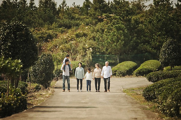 포토 JPG 주간 전신 여자 할아버지 노년 남자 딸 아들 할머니 어린이 가족 엄마 대가족 여러명 성인 야외 앞모습 10대 30대 제주도 걷기 화목 한국인 가족라이프 목말 아빠 60대 차밭 도순다원 국내포토 자연요소 라이프스타일 뷰포인트 다수 컨셉 밭 관계 모션 청소년 한국 사람 동양인 장년 파일형식