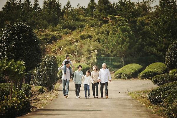 포토 JPG 주간 전신 여자 할아버지 노년 남자 딸 아들 할머니 어린이 가족 엄마 대가족 여러명 성인 야외 앞모습 10대 30대 제주도 걷기 화목 한국인 가족라이프 목말 아빠 60대 차밭 도순다원 국내포토 자연요소 라이프스타일 뷰포인트 다수 컨셉 밭 관계 모션 청소년 한국 사람 동양인 장년 파일형식