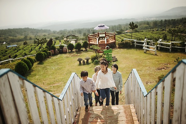 포토 JPG 주간 전신 여자 할아버지 노년 남자 딸 아들 할머니 어린이 가족 엄마 대가족 여러명 성인 야외 앞모습 10대 30대 제주도 걷기 계단 화목 한국인 가족라이프 아빠 60대 오르기 차밭 도순다원 국내포토 자연요소 라이프스타일 뷰포인트 다수 컨셉 밭 관계 모션 청소년 한국 사람 동양인 장년 파일형식