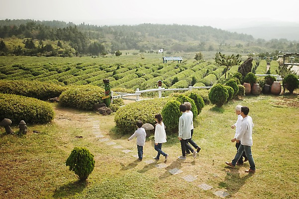 포토 JPG 주간 전신 여자 할아버지 노년 남자 딸 아들 할머니 어린이 가족 엄마 대가족 여러명 성인 야외 옆모습 10대 30대 제주도 걷기 한국인 가족라이프 아빠 60대 차밭 도순다원 국내포토 자연요소 라이프스타일 뷰포인트 다수 밭 관계 모션 청소년 한국 사람 동양인 장년 파일형식