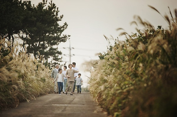포토 JPG 주간 전신 여자 할아버지 노년 남자 딸 아들 할머니 어린이 가족 엄마 손자 손녀 대가족 여러명 성인 야외 앞모습 10대 30대 제주도 걷기 손잡기 화목 한국인 가족라이프 아빠 60대 며느리 억새 신천목장 국내포토 자연요소 식물 라이프스타일 뷰포인트 다수 컨셉 관계 모션 청소년 한국 사람 동양인 장년 목장 손주 파일형식