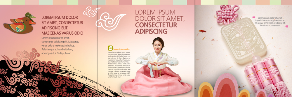 PSD 템플릿 편집 표지디자인 북디자인 출판디자인 여자 내지 리플렛 북커버 3단접지 한명 팜플렛 성인 30대 한국인 한복 노리개 청둥오리 이미지템플릿 1 한국전통 오리 전통소품 사람 동양인 장년 전통의상 파일형식