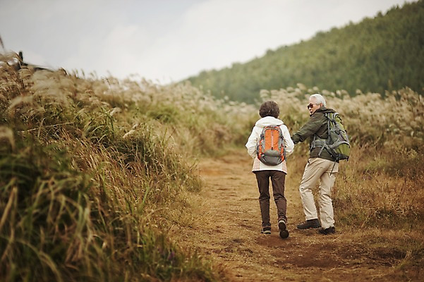 포토 JPG 주간 전신 여자 할아버지 노년 남자 할머니 야외 두명 뒷모습 실버라이프 제주도 걷기 손잡기 노부부 다정 트래킹 한국인 60대 억새 노인만 따라비오름 국내포토 자연요소 식물 라이프스타일 부부 뷰포인트 컨셉 모션 레저 한국 사람 동양인 성인 오름 성인만 파일형식