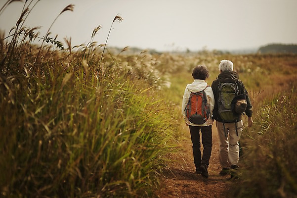 포토 JPG 주간 전신 여자 할아버지 노년 남자 할머니 야외 두명 뒷모습 실버라이프 제주도 걷기 노부부 다정 트래킹 한국인 60대 억새 노인만 따라비오름 국내포토 자연요소 식물 라이프스타일 부부 뷰포인트 컨셉 모션 레저 한국 사람 동양인 성인 오름 성인만 파일형식