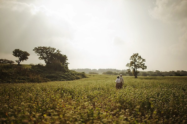 포토 JPG 주간 여자 할아버지 노년 남자 할머니 여행 꽃밭 서기 상반신 야외 두명 뒷모습 실버라이프 제주도 걷기 노부부 다정 한국인 60대 메밀꽃 메밀밭 노인만 국내포토 자연요소 라이프스타일 부부 꽃 뷰포인트 컨셉 밭 모션 한국 사람 동양인 성인 성인만 파일형식