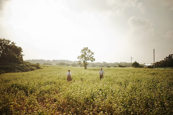 포토 JPG 주간 여자 할아버지 노년 남자 할머니 여행 꽃밭 서기 상반신 야외 두명 앞모습 실버라이프 제주도 노부부 다정 한국인 60대 메밀꽃 메밀밭 노인만 국내포토 자연요소 라이프스타일 부부 꽃 뷰포인트 컨셉 밭 모션 한국 사람 동양인 성인 성인만 파일형식