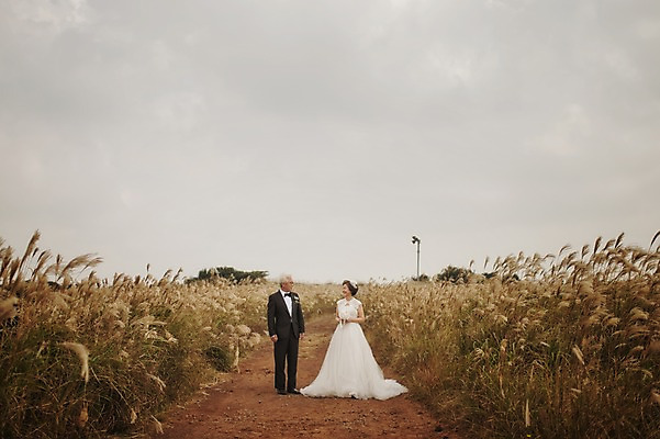 포토 JPG 주간 전신 여자 할아버지 노년 남자 행복 할머니 웨딩드레스 결혼 서기 정장 턱시도 야외 두명 앞모습 실버라이프 제주도 노부부 다정 한국인 60대 리마인드웨딩 억새밭 노인만 따라비오름 국내포토 자연요소 라이프스타일 부부 드레스 옷 감정 뷰포인트 컨셉 모션 한국 사람 동양인 이벤트 성인 억새 오름 성인만 파일형식