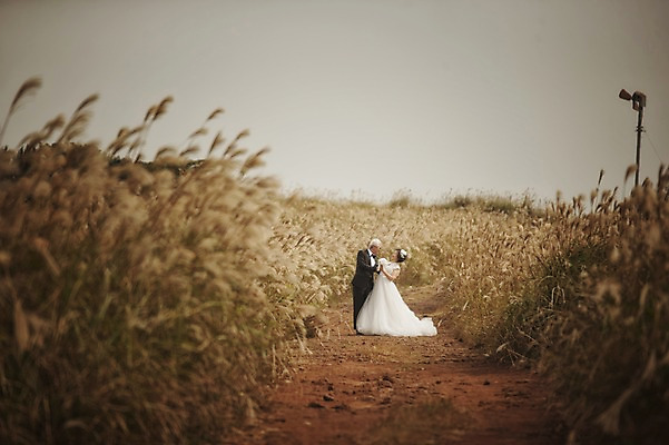 포토 JPG 주간 전신 여자 할아버지 노년 남자 행복 할머니 웨딩드레스 결혼 서기 정장 턱시도 야외 두명 앞모습 실버라이프 제주도 노부부 다정 한국인 60대 리마인드웨딩 억새밭 노인만 따라비오름 국내포토 자연요소 라이프스타일 부부 드레스 옷 감정 뷰포인트 컨셉 모션 한국 사람 동양인 이벤트 성인 억새 오름 성인만 파일형식