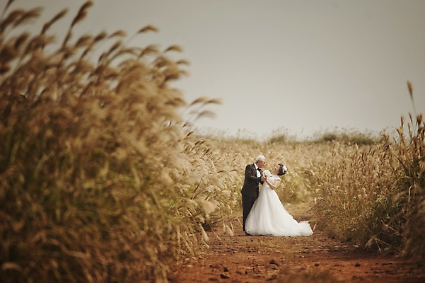 포토 JPG 주간 전신 여자 할아버지 노년 남자 행복 할머니 웨딩드레스 결혼 서기 정장 턱시도 야외 두명 앞모습 실버라이프 제주도 노부부 다정 한국인 60대 리마인드웨딩 억새밭 노인만 따라비오름 국내포토 자연요소 라이프스타일 부부 드레스 옷 감정 뷰포인트 컨셉 모션 한국 사람 동양인 이벤트 성인 억새 오름 성인만 파일형식