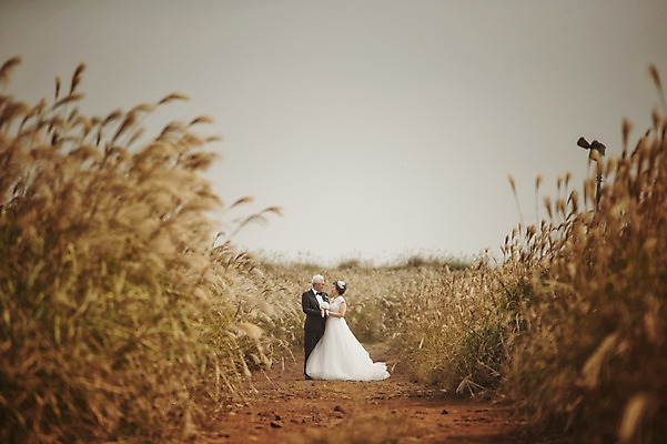 포토 JPG 주간 전신 여자 할아버지 노년 남자 행복 할머니 웨딩드레스 결혼 서기 정장 턱시도 야외 두명 앞모습 실버라이프 제주도 노부부 다정 한국인 60대 리마인드웨딩 억새밭 노인만 따라비오름 국내포토 자연요소 라이프스타일 부부 드레스 옷 감정 뷰포인트 컨셉 모션 한국 사람 동양인 이벤트 성인 억새 오름 성인만 파일형식