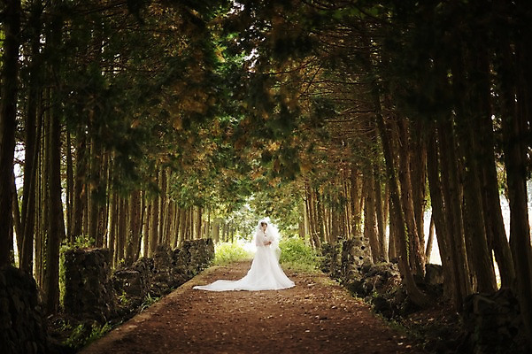 포토 JPG 주간 전신 여자 노년 행복 할머니 부케 웨딩드레스 결혼 한명 서기 미소 들기 야외 앞모습 실버라이프 제주도 한국인 60대 리마인드웨딩 숲길 여자만 노인만 노인여자만 샤이니숲길 국내포토 자연요소 1 라이프스타일 드레스 감정 길 뷰포인트 꽃다발 모션 한국 표정 사람 동양인 이벤트 성인 성인만 파일형식