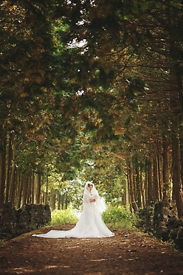 포토 JPG 주간 전신 여자 노년 행복 할머니 부케 웨딩드레스 결혼 한명 서기 미소 들기 야외 앞모습 실버라이프 제주도 한국인 60대 리마인드웨딩 숲길 여자만 노인만 노인여자만 샤이니숲길 국내포토 자연요소 1 라이프스타일 드레스 감정 길 뷰포인트 꽃다발 모션 한국 표정 사람 동양인 이벤트 성인 성인만 파일형식