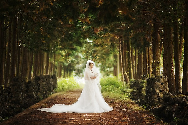 포토 JPG 주간 전신 여자 노년 행복 할머니 부케 웨딩드레스 결혼 한명 서기 미소 들기 야외 앞모습 실버라이프 제주도 한국인 60대 리마인드웨딩 숲길 여자만 노인만 노인여자만 샤이니숲길 국내포토 자연요소 1 라이프스타일 드레스 감정 길 뷰포인트 꽃다발 모션 한국 표정 사람 동양인 이벤트 성인 성인만 파일형식