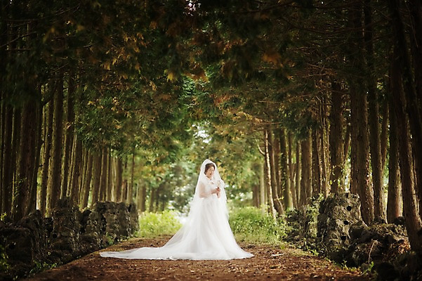 포토 JPG 주간 전신 여자 노년 행복 할머니 부케 웨딩드레스 결혼 한명 서기 미소 들기 야외 앞모습 실버라이프 제주도 한국인 60대 리마인드웨딩 숲길 여자만 노인만 노인여자만 샤이니숲길 국내포토 자연요소 1 라이프스타일 드레스 감정 길 뷰포인트 꽃다발 모션 한국 표정 사람 동양인 이벤트 성인 성인만 파일형식