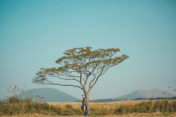포토 JPG 주간 전신 서양인 외국인 나무 남자 맨라이프 여행 휴식 한명 서기 초원 20대 성인 야외 옆모습 제주도 기댐 성인남자한명만 국내포토 자연요소 식물 1 라이프스타일 뷰포인트 컨셉 모션 한국 사람 인종 청년 남자한명만 성인남자만 파일형식