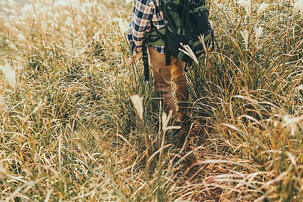 포토 JPG 주간 서양인 외국인 남자 맨라이프 여행 배낭 한명 20대 성인 야외 뒷모습 제주도 걷기 등산 하반신 다리 즐거움 억새 오름 성인남자한명만 국내포토 자연요소 식물 1 라이프스타일 감정 뷰포인트 가방 모션 한국 사람 인종 청년 신체부위 트래킹 남자한명만 성인남자만 파일형식
