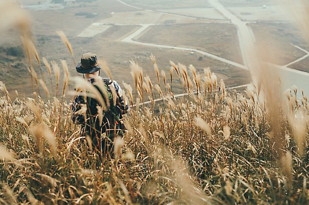 포토 JPG 주간 서양인 외국인 남자 맨라이프 여행 한명 상반신 20대 성인 야외 뒷모습 제주도 걷기 등산 즐거움 억새 오름 성인남자한명만 국내포토 자연요소 식물 1 라이프스타일 감정 뷰포인트 모션 한국 사람 인종 청년 트래킹 남자한명만 성인남자만 파일형식