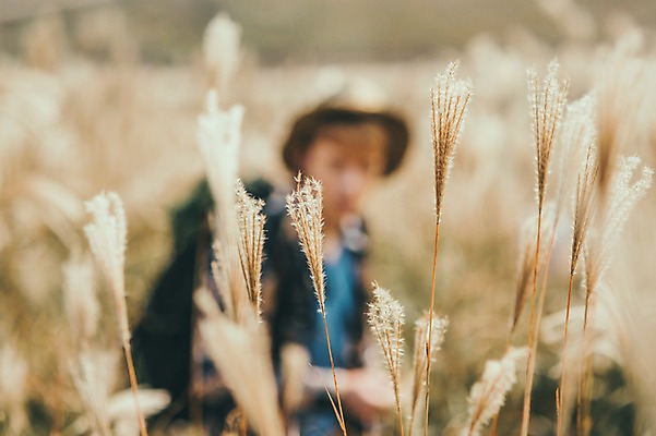 포토 JPG 주간 서양인 외국인 남자 맨라이프 여행 한명 서기 상반신 20대 성인 야외 앞모습 아웃포커스 제주도 등산 즐거움 억새 오름 성인남자한명만 국내포토 자연요소 식물 1 라이프스타일 감정 뷰포인트 모션 한국 촬영기법 사람 인종 청년 트래킹 남자한명만 성인남자만 파일형식