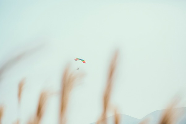 포토 JPG 주간 여행 자연 풍경 사람없음 야외 제주도 억새 오름 패러글라이딩 국내포토 자연요소 식물 스포츠 한국 생태계 파일형식