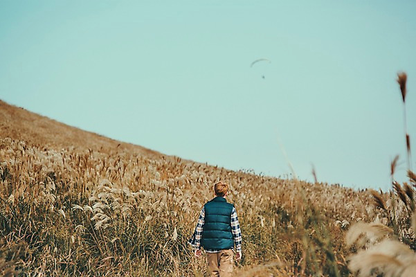 포토 JPG 주간 서양인 외국인 남자 맨라이프 여행 한명 상반신 20대 성인 야외 뒷모습 제주도 걷기 등산 즐거움 억새 오름 성인남자한명만 국내포토 자연요소 식물 1 라이프스타일 감정 뷰포인트 모션 한국 사람 인종 청년 트래킹 남자한명만 성인남자만 파일형식