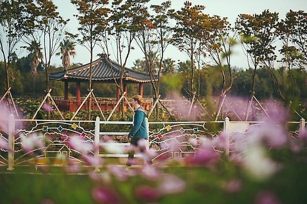 포토 JPG 주간 전신 서양인 외국인 공원 남자 맨라이프 여행 휴식 한명 20대 성인 야외 옆모습 제주도 걷기 코스모스 성인남자한명만 국내포토 자연요소 1 라이프스타일 공공시설 꽃 뷰포인트 컨셉 모션 한국 사람 인종 청년 남자한명만 성인남자만 파일형식