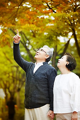 포토 JPG 주간 응시 공원 여자 할아버지 노년 남자 할머니 휴식 서기 야외 두명 옆모습 실버라이프 손잡기 노부부 다정 산책 한국인 가리킴 60대 상쾌 노인만 국내포토 자연요소 라이프스타일 부부 시선 공공시설 감정 뷰포인트 컨셉 모션 사람 동양인 손짓 성인 성인만 파일형식