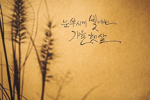 포토 JPG 주간 문자 손글씨 종이 캘리그라피 한글 사람없음 야외 햇빛 노을 가을 억새 백운호수 국내포토 자연요소 식물 계절 호수 태양 경기도 파일형식