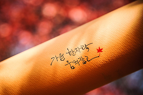 포토 JPG 주간 문자 손글씨 종이 단풍 낙엽 캘리그라피 한글 사람없음 야외 가을 백운호수 국내포토 자연요소 계절 호수 잎 경기도 파일형식