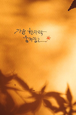 포토 자연요소 문자 계절 호수 잎 경기도 파일형식 단풍 그림자 낙엽 JPG 캘리그라피 손글씨 한글 종이 사람없음 주간 야외 가을 백운호수 국내포토