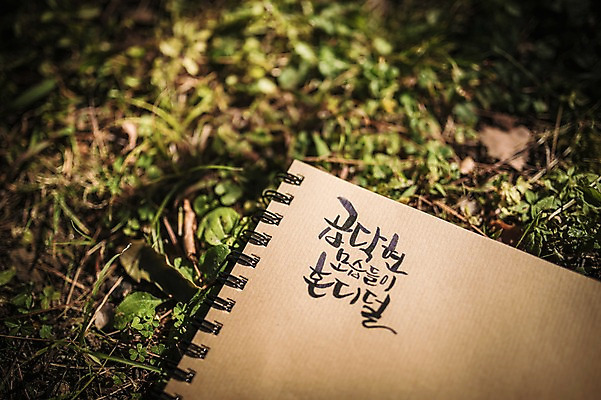 포토 JPG 주간 문자 손글씨 종이 캘리그라피 잔디 한글 사람없음 야외 아웃포커스 제주도 다이어리 방언 자연휴양림 국내포토 자연요소 식물 한국 촬영기법 사무용품 휴양림 파일형식