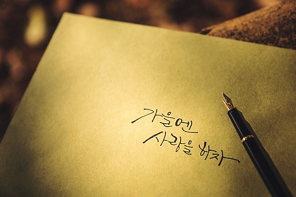 포토 JPG 주간 나무 문자 손글씨 종이 캘리그라피 사랑 한글 사람없음 야외 펜 만년필 가을 백운호수 국내포토 자연요소 식물 계절 감정 호수 필기구 경기도 파일형식