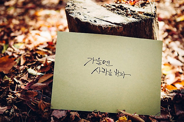 포토 JPG 주간 문자 손글씨 종이 낙엽 캘리그라피 사랑 한글 사람없음 야외 가을 나무밑둥 백운호수 국내포토 자연요소 나무 계절 감정 호수 잎 경기도 파일형식