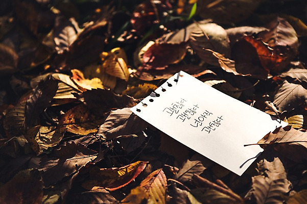 포토 JPG 주간 문자 손글씨 종이 단풍 낙엽 캘리그라피 한글 사람없음 야외 가을 괜찮아 백운호수 국내포토 자연요소 계절 호수 잎 격려 경기도 파일형식