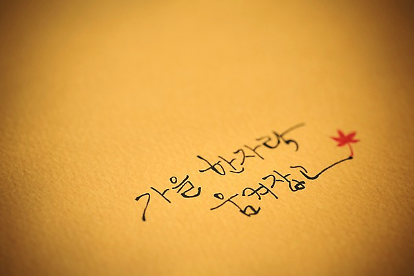 포토 JPG 문자 손글씨 종이 단풍 캘리그라피 한글 사람없음 아웃포커스 가을 국내포토 계절 잎 촬영기법 파일형식