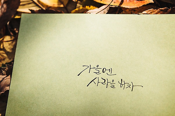 포토 JPG 주간 문자 손글씨 종이 단풍 낙엽 캘리그라피 사랑 한글 사람없음 야외 가을 백운호수 국내포토 자연요소 계절 감정 호수 잎 경기도 파일형식