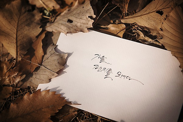 포토 JPG 주간 문자 손글씨 종이 단풍 낙엽 캘리그라피 한글 사람없음 야외 가을 백운호수 국내포토 자연요소 계절 호수 잎 경기도 파일형식