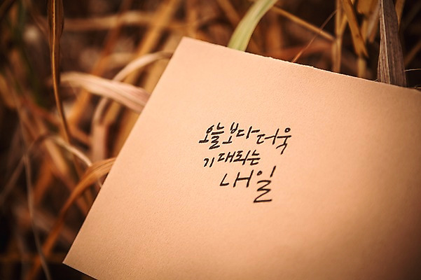 포토 JPG 주간 문자 손글씨 종이 캘리그라피 응원 한글 사람없음 야외 아웃포커스 희망 가을 풀잎 내일 오늘 판교 국내포토 자연요소 계절 감정 잎 촬영기법 풀_식물 분당 파일형식
