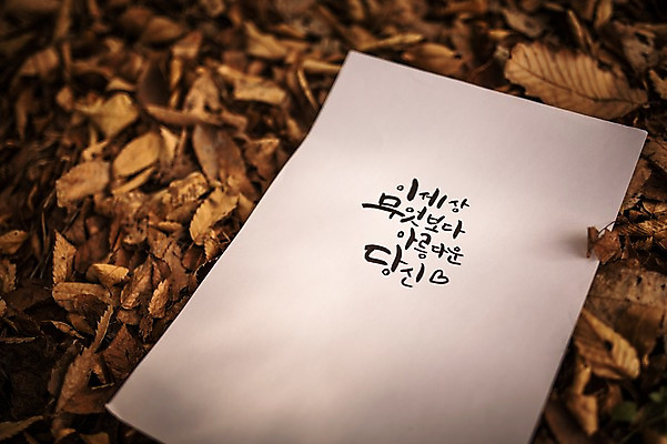 포토 JPG 주간 문자 손글씨 종이 낙엽 캘리그라피 한글 사람없음 야외 가을 계림 국내포토 자연요소 계절 잎 경주_경상북도 파일형식
