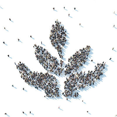 PSD 편집이미지 손 꽃 잎 함께함 사람 여러명 신체부위 디지털합성 나눔 디지털아트 이미지편집 식물 다수 컨셉 파일형식