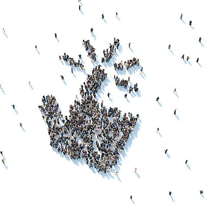 PSD 편집이미지 함께함 사람 여러명 터치 디지털합성 손모양 클릭 나눔 디지털아트 이미지편집 모양 다수 컨셉 파일형식 손_신체부위