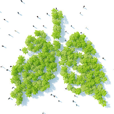 PSD 나무 편집이미지 함께함 사람 여러명 허파 장기 디지털합성 에코 나눔 디지털아트 그린슈머 이미지편집 식물 다수 컨셉 신체 환경 호흡기관 파일형식