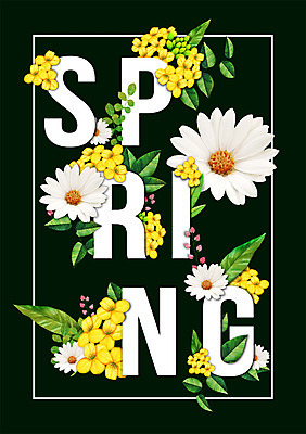 PSD 알파벳 영어 꽃 백그라운드 잎 일러스트 타이포그라피 사람없음 봄 국내일러스트 식물 문자 계절 파일형식